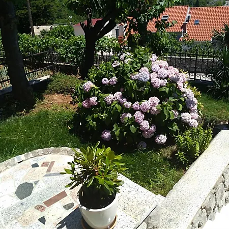 With Parking Space - 17186 *