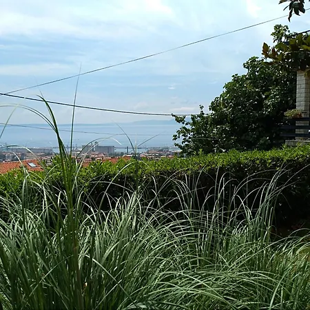 With Parking Space - 17186 *